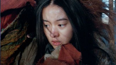 Tornado Poster Landscape Image