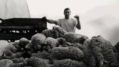 Meat Poster Landscape Image